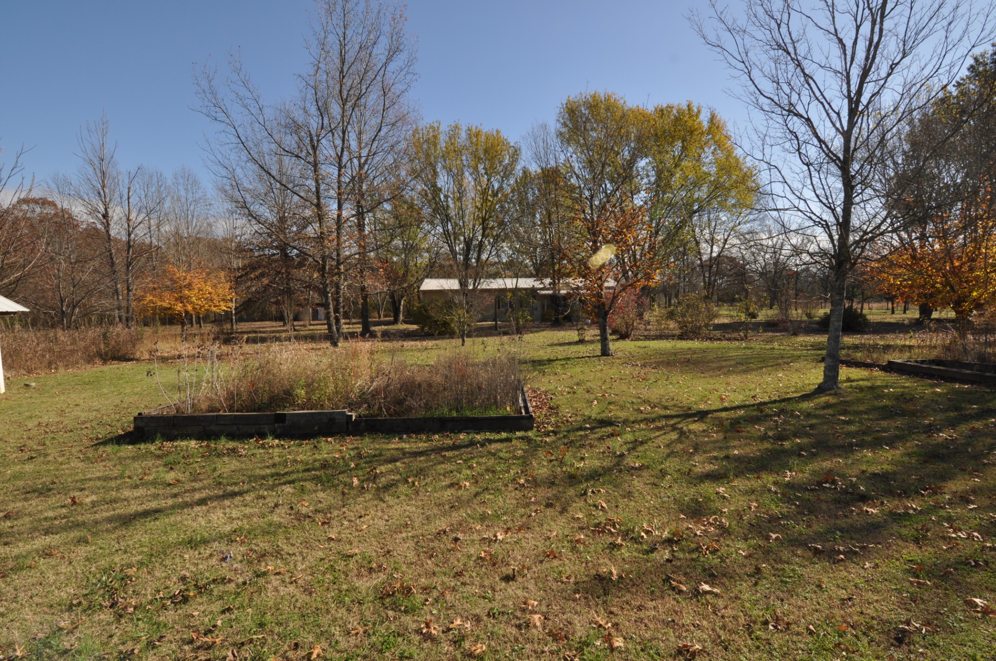 238 Putman Well Road Rockvale, TN 37153 - Photo 27 of 42 a view of a yard