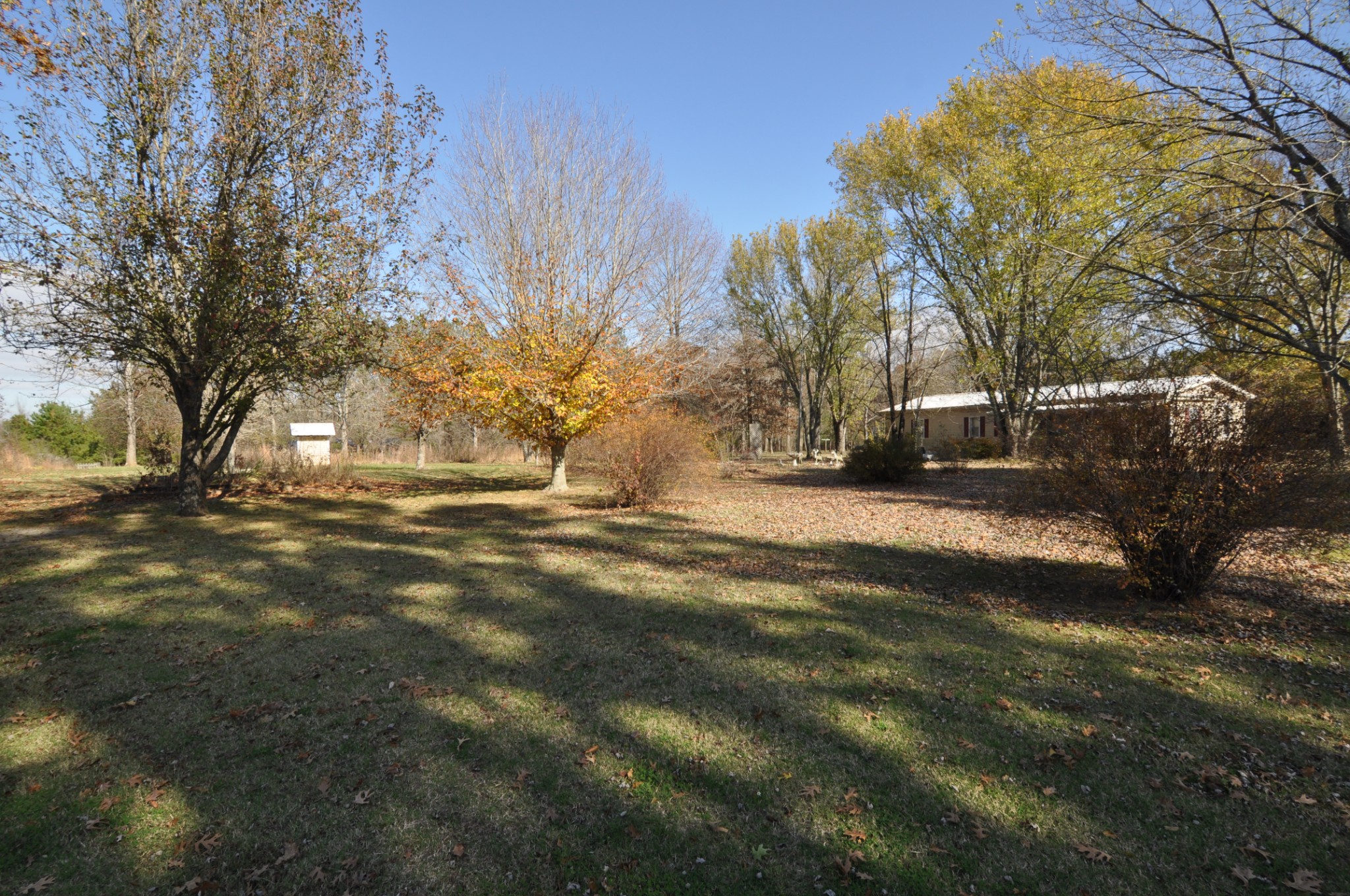 238 Putman Well Road Rockvale, TN 37153 - Photo 29 of 42 a view of road with large trees