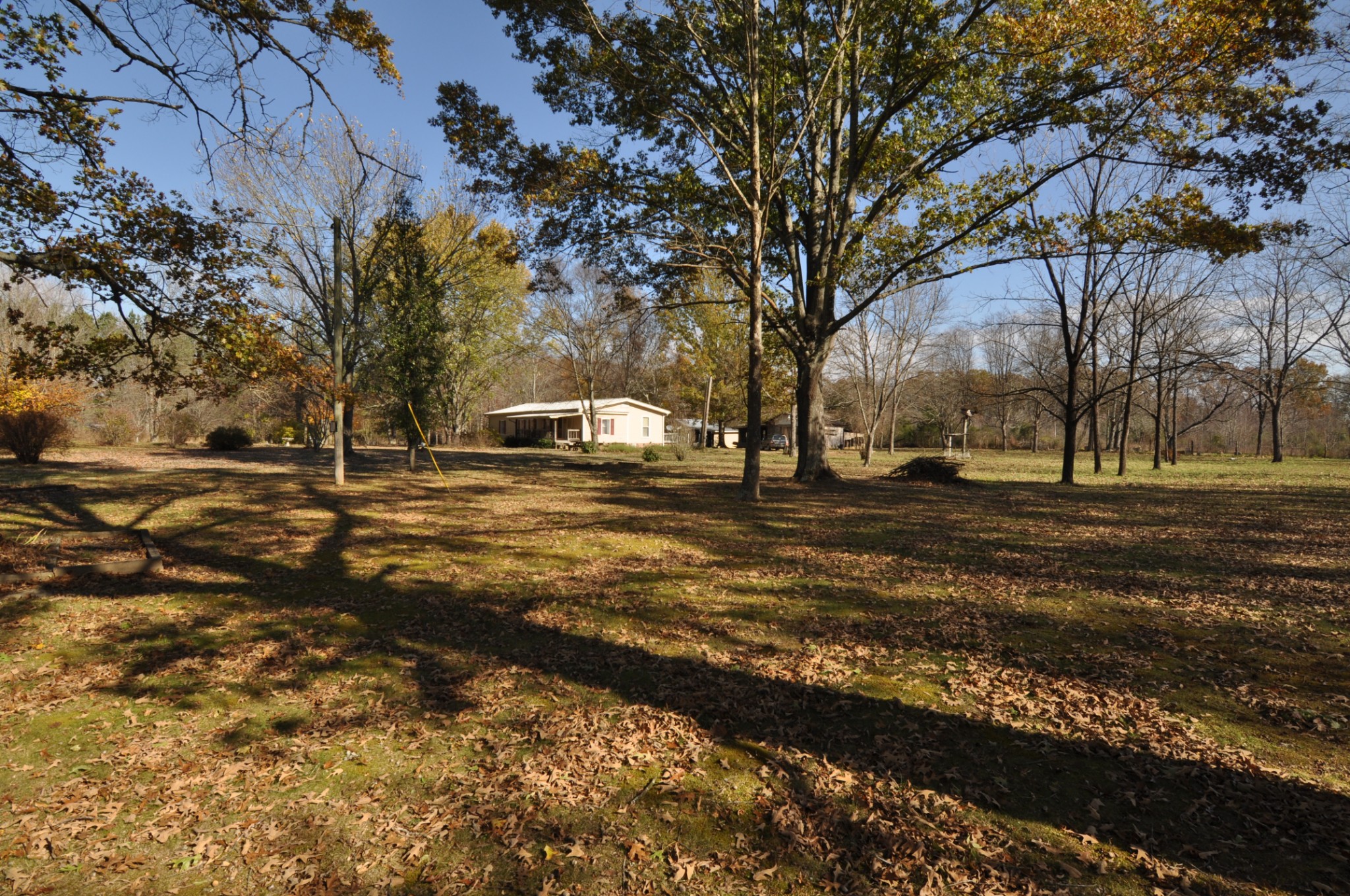 238 Putman Well Road Rockvale, TN 37153 - Photo 30 of 42 a view of road with yard