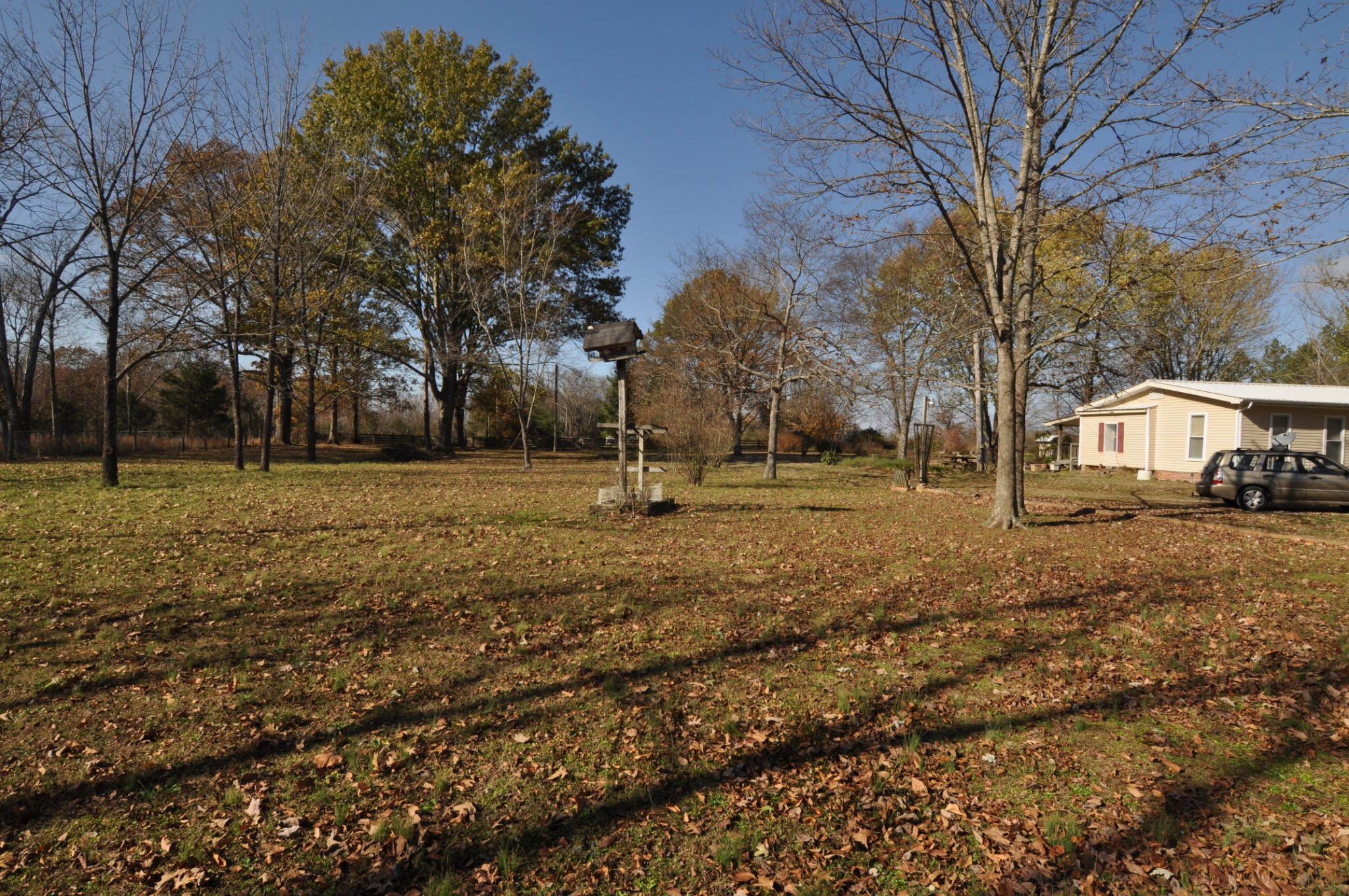 238 Putman Well Road Rockvale, TN 37153 - Photo 31 of 42 a view of yard with tree in the background