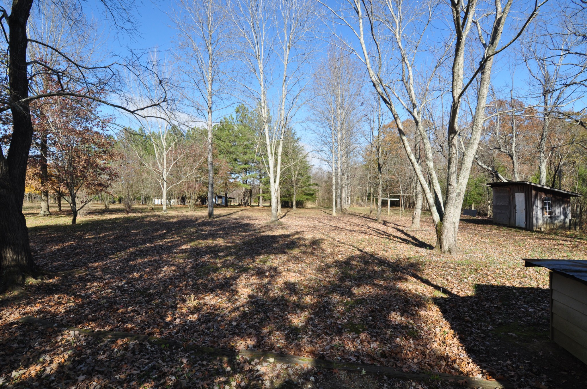 238 Putman Well Road Rockvale, TN 37153 - Photo 36 of 42 a view of road with large trees