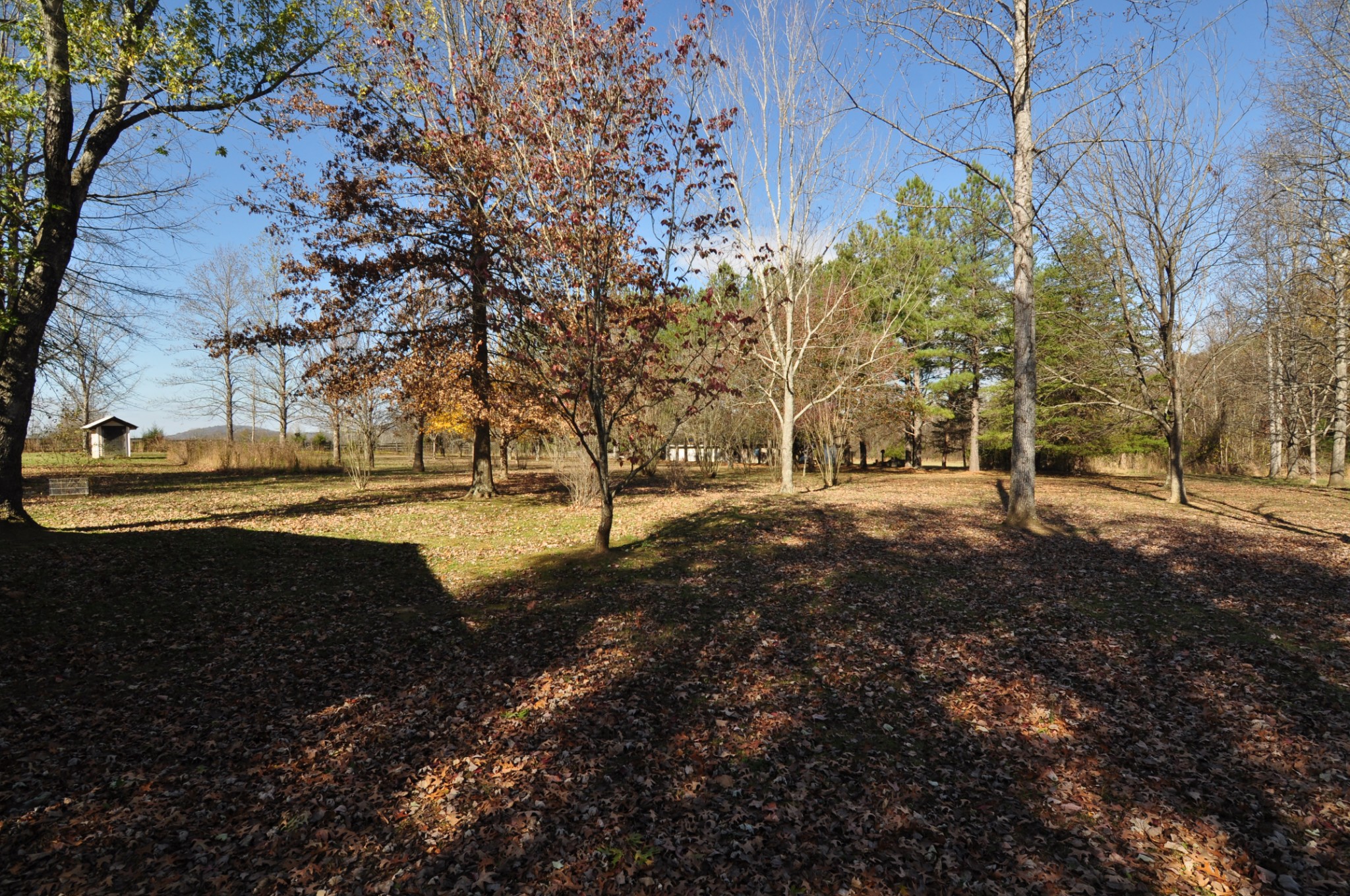 238 Putman Well Road Rockvale, TN 37153 - Photo 38 of 42 a view of outdoor space with trees