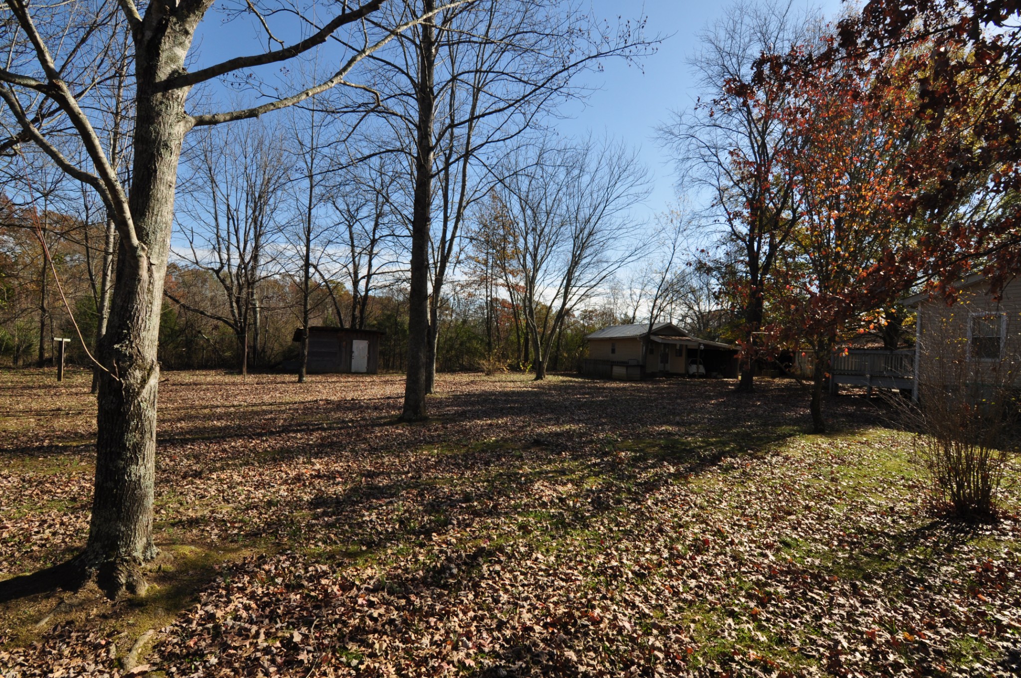 238 Putman Well Road Rockvale, TN 37153 - Photo 39 of 42 a view of a yard with trees
