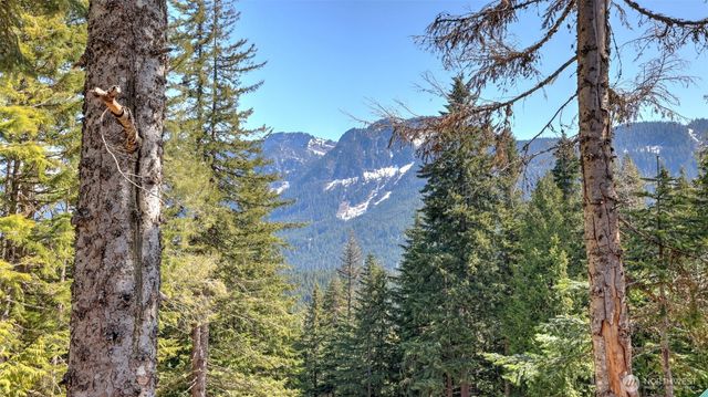 $999,999 | 160 Innsbruck Drive, Snoqualmie Pass, WA 98068