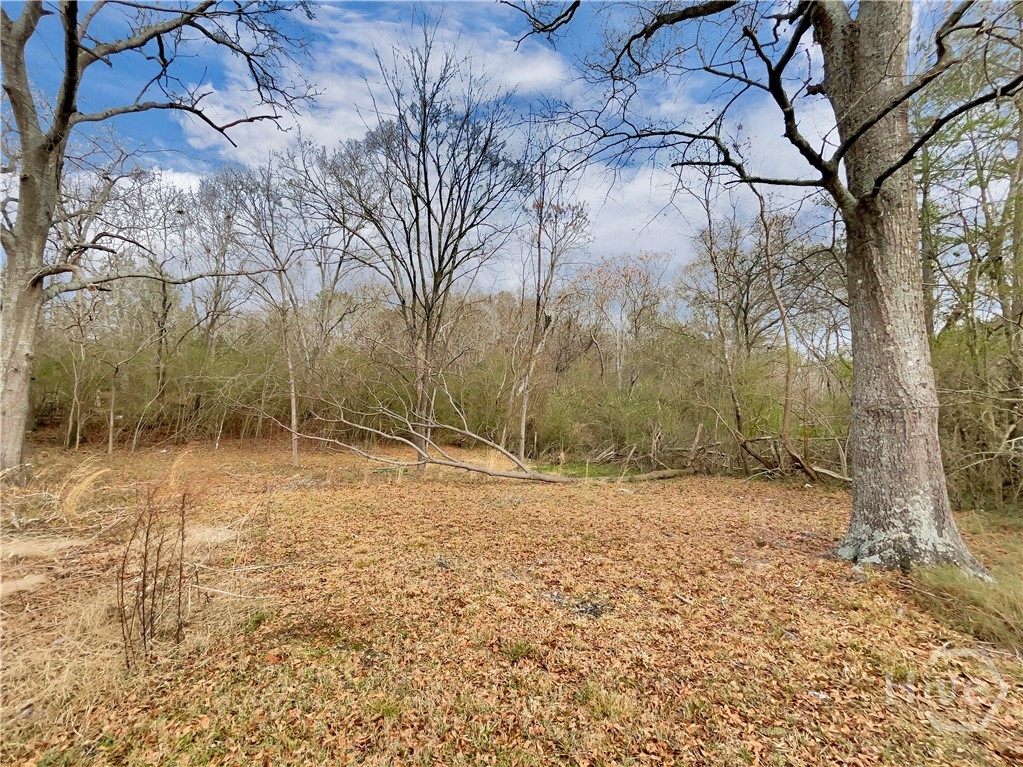 1271 Della Slaton Road Comer, GA 30629 - Photo 26 of 29