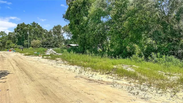 a view of a forest with a houses