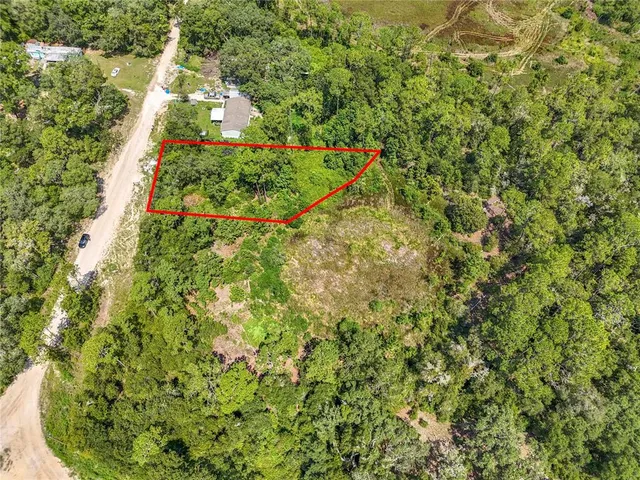 a view of a yard with plants