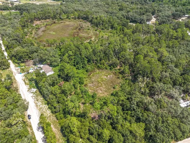 an aerial view of residential houses with outdoor space and trees