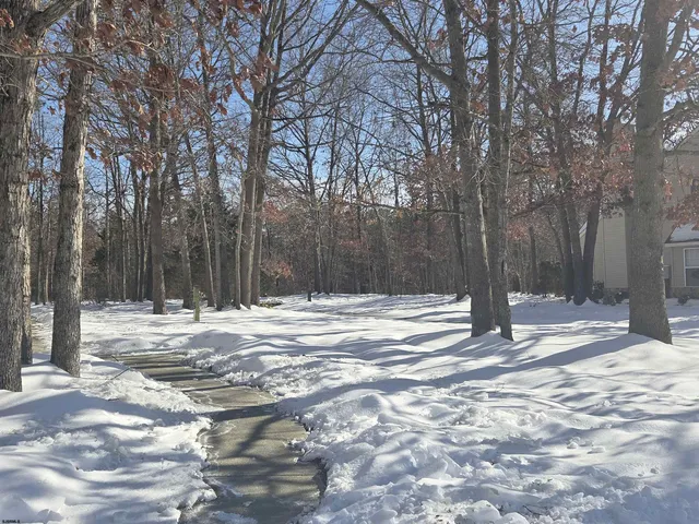 a view of a yard with trees