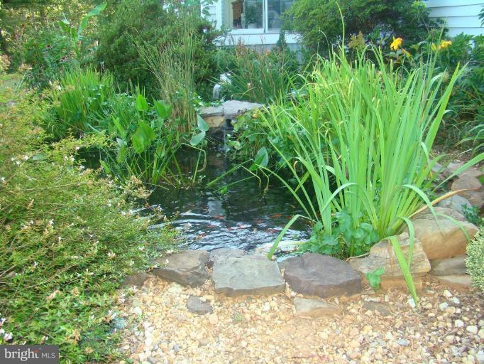 16145 Sheads Mountain Road Rixeyville, VA 22737 - Photo 16 of 20 a view of a garden with plants