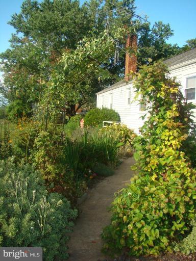 16145 Sheads Mountain Road Rixeyville, VA 22737 - Photo 20 of 20 a view of a yard with plants and large trees
