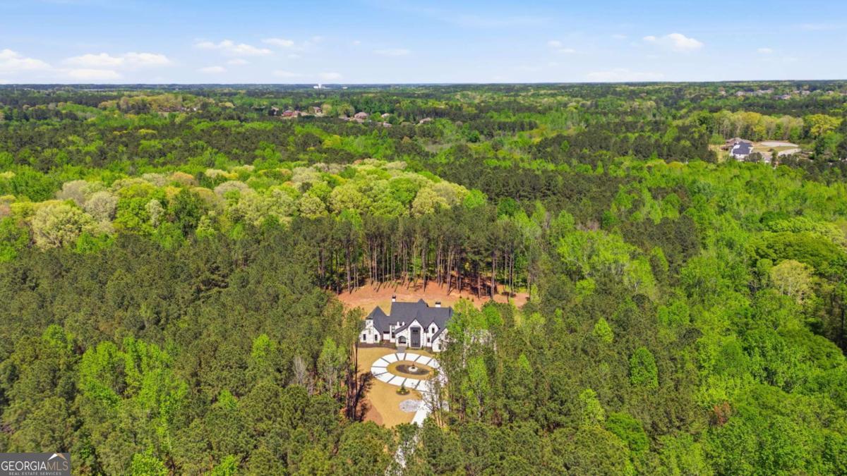 1315 Sandy Creek Road Tyrone, GA 30290 - Photo 100 of 100