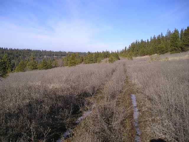 8401 South Sherman Road Spokane, WA 99224 - Photo 1 of 4