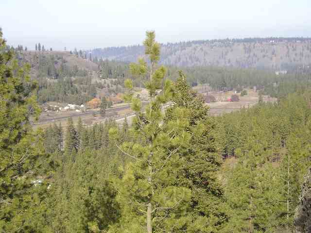 8401 South Sherman Road Spokane, WA 99224 - Photo 3 of 4