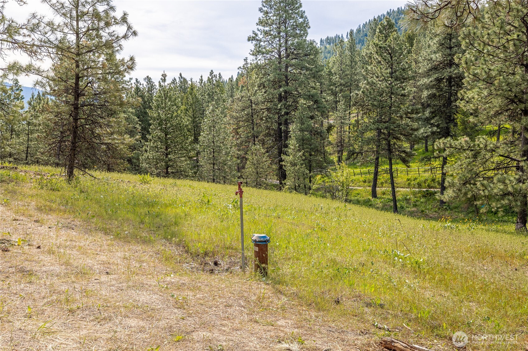 329 First Grade Road Leavenworth, WA 98826 - Photo 36 of 36