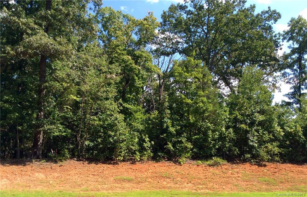 0 Ridgeview Lane, Unit 2 Iron Station, NC 28080 - Photo 5 of 17 Gallery Image 5