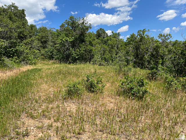 St, Unit 41 Springville, UT 84663 - Photo 4 of 12 View of nature