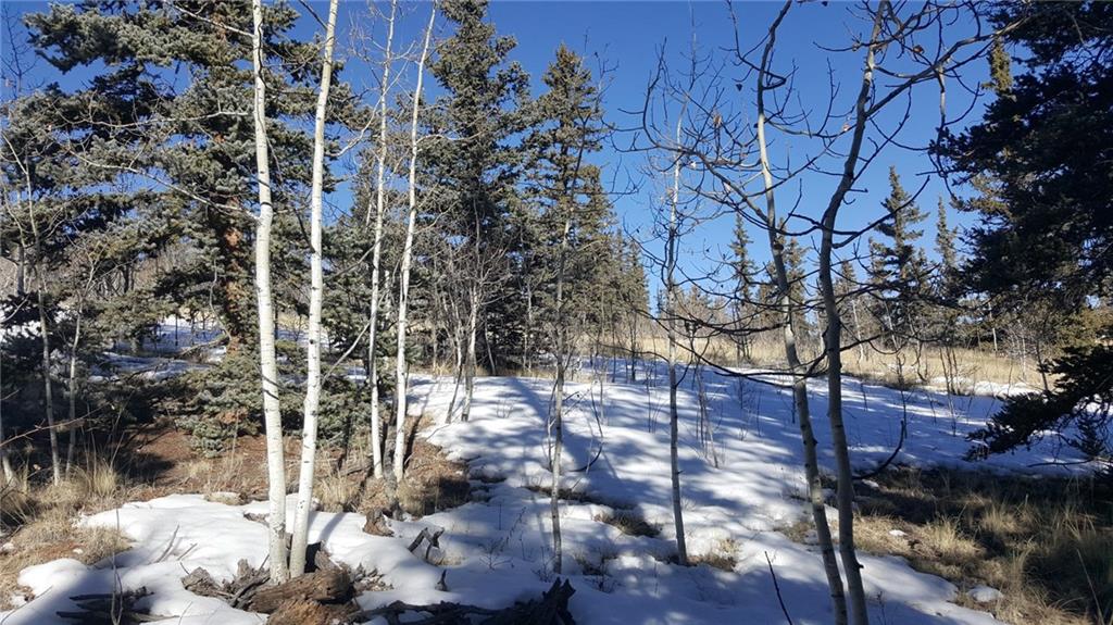 47 Pathfinder Way Como, CO 80432 - Photo 1 of 20 Gallery Image 1