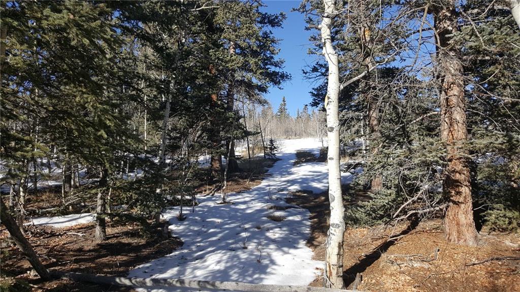 47 Pathfinder Way Como, CO 80432 - Photo 2 of 20 Gallery Image 2