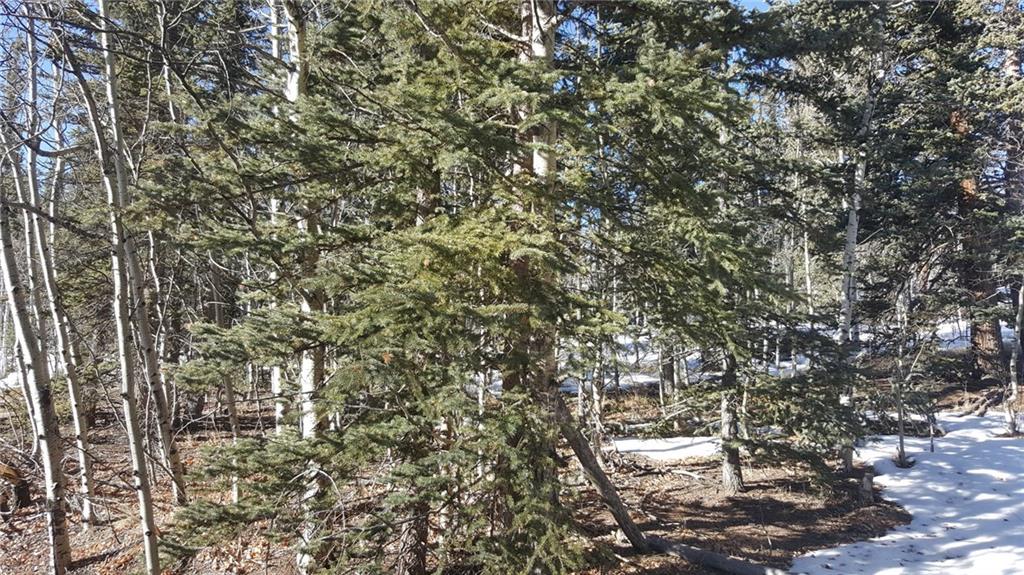 47 Pathfinder Way Como, CO 80432 - Photo 3 of 20 Gallery Image 3