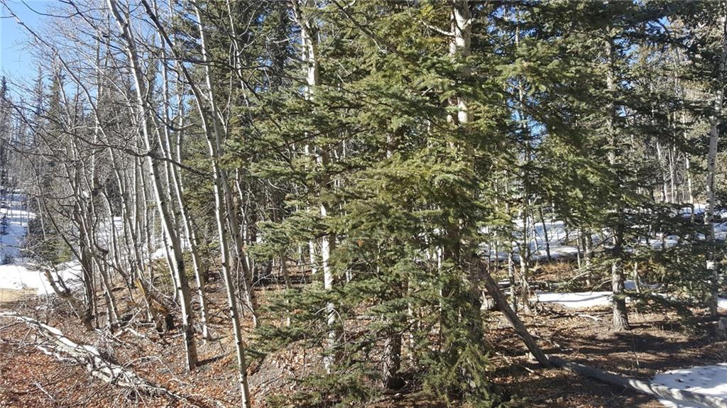 47 Pathfinder Way Como, CO 80432 - Photo 5 of 20 Gallery Image 5