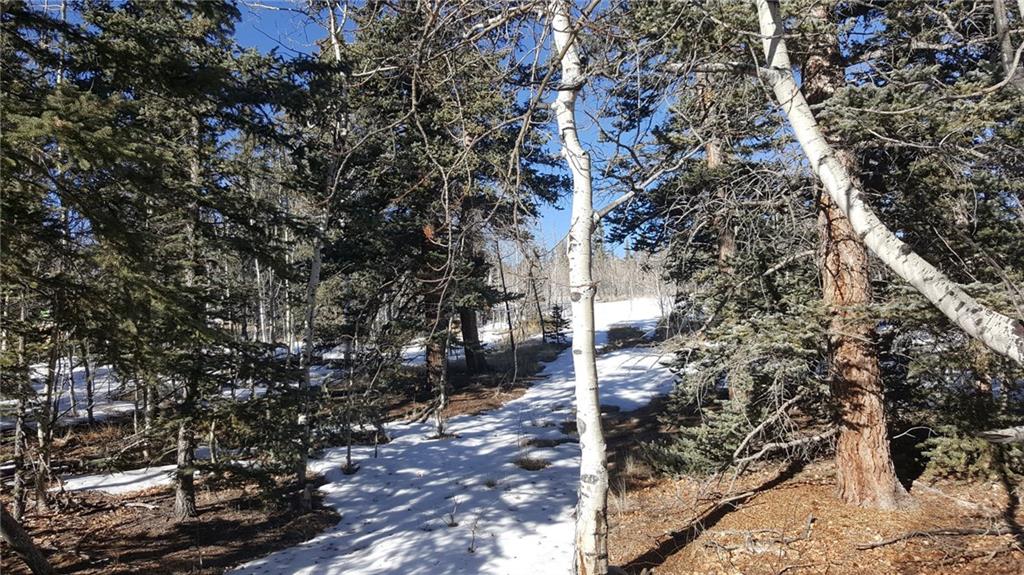 47 Pathfinder Way Como, CO 80432 - Photo 6 of 20 Gallery Image 6