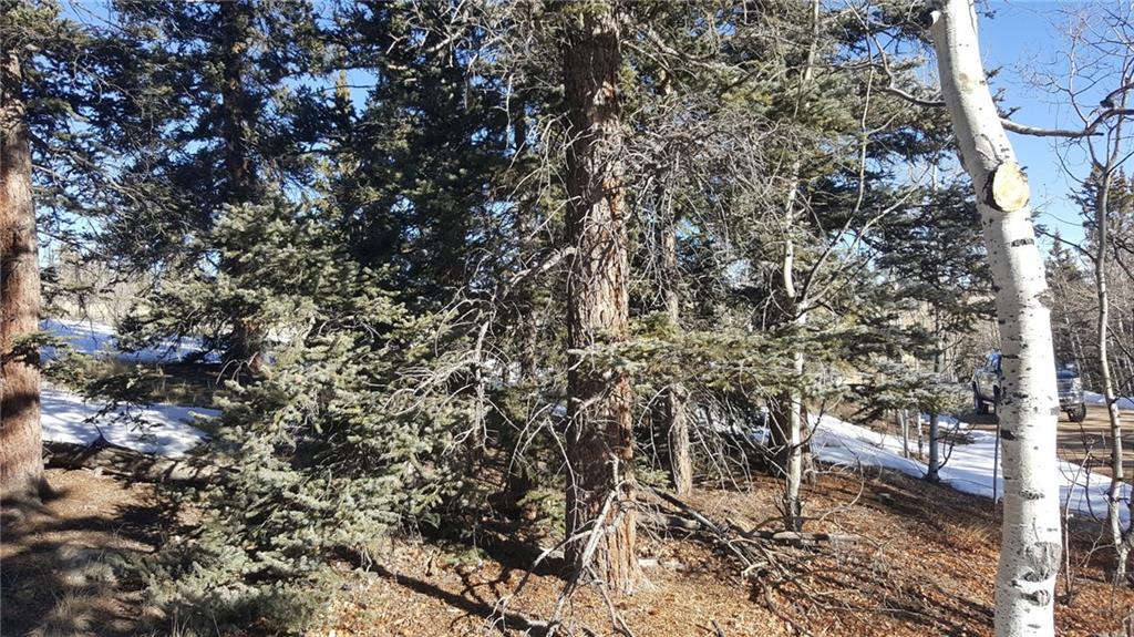 47 Pathfinder Way Como, CO 80432 - Photo 7 of 20 Gallery Image 7