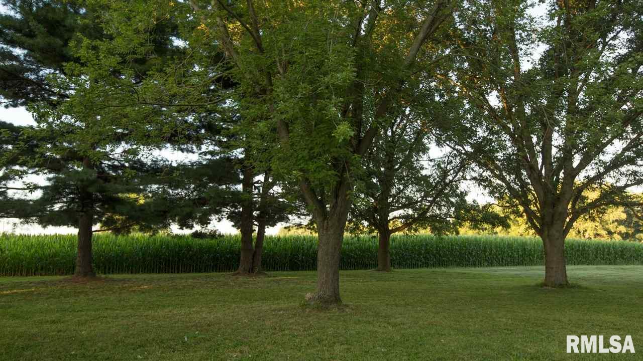 10219 South Trivoli Road Glasford, IL 61533 - Photo 5 of 20 Gallery Image 5