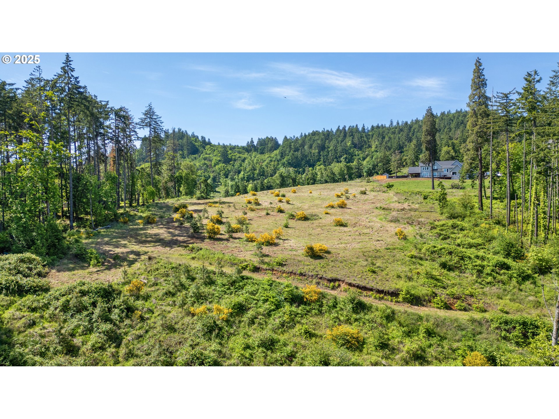Spring Boulevard Eugene, OR 97405 - Photo 25 of 29