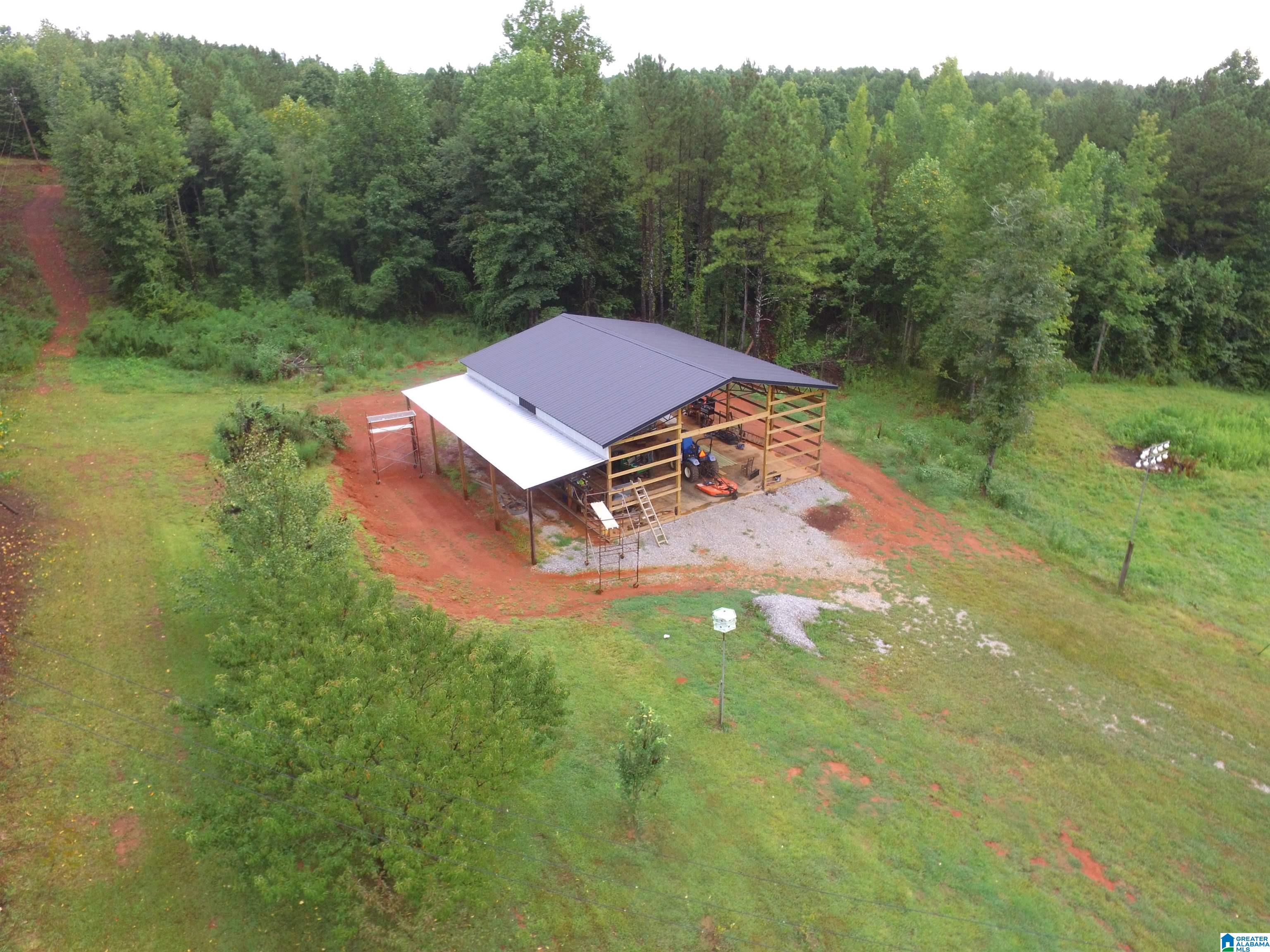 889 Lees Bridge Road Delta, AL 36258 - Photo 7 of 25