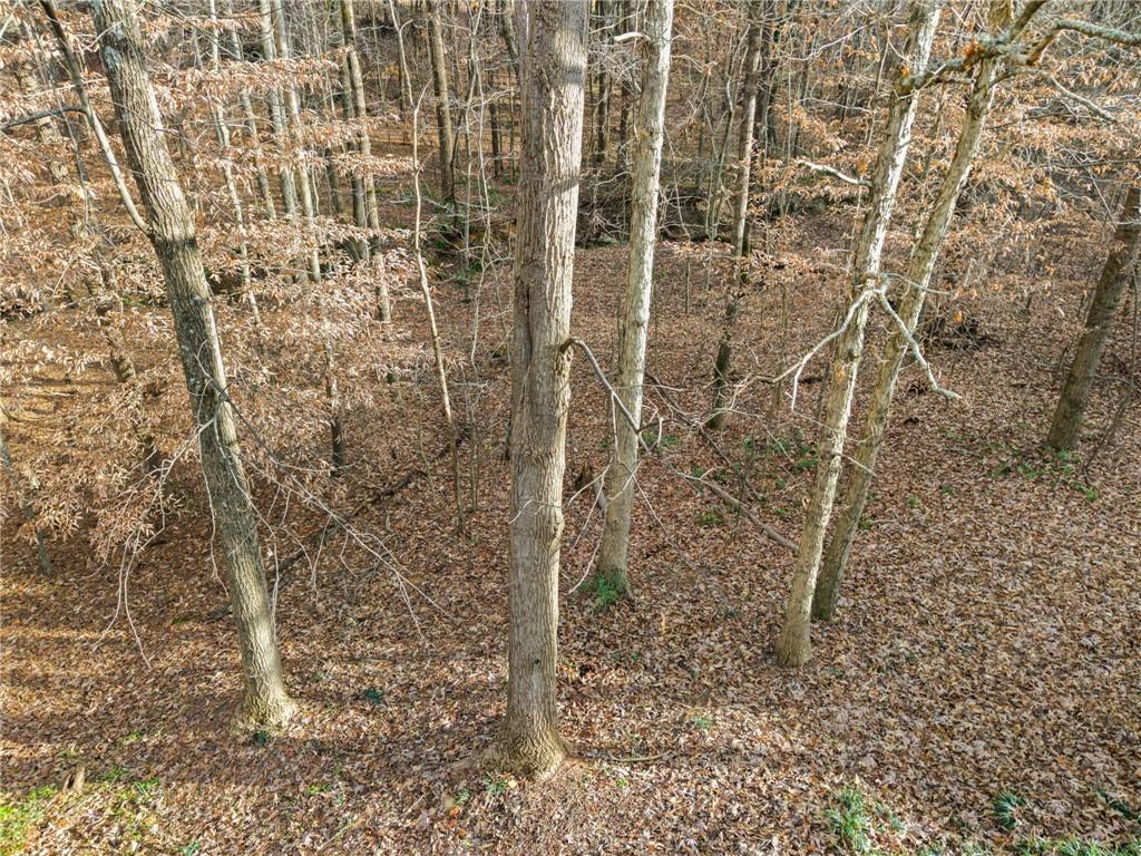 5551 Rose Ridge Court Flowery Branch, GA 30542 - Photo 6 of 36