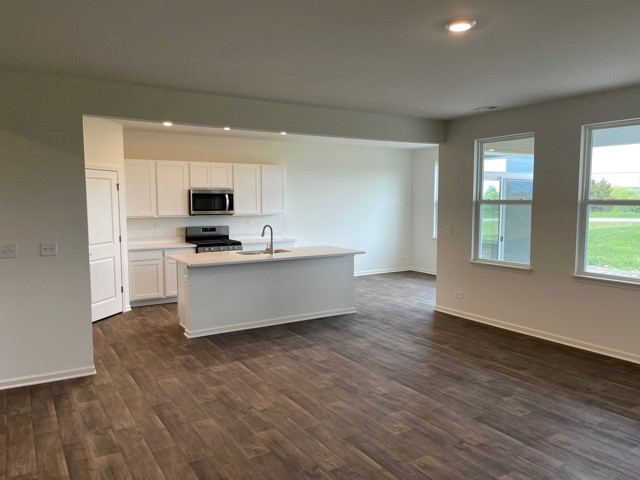 859 Crestview Lane Pingree Grove, IL 60140 - Photo 4 of 32