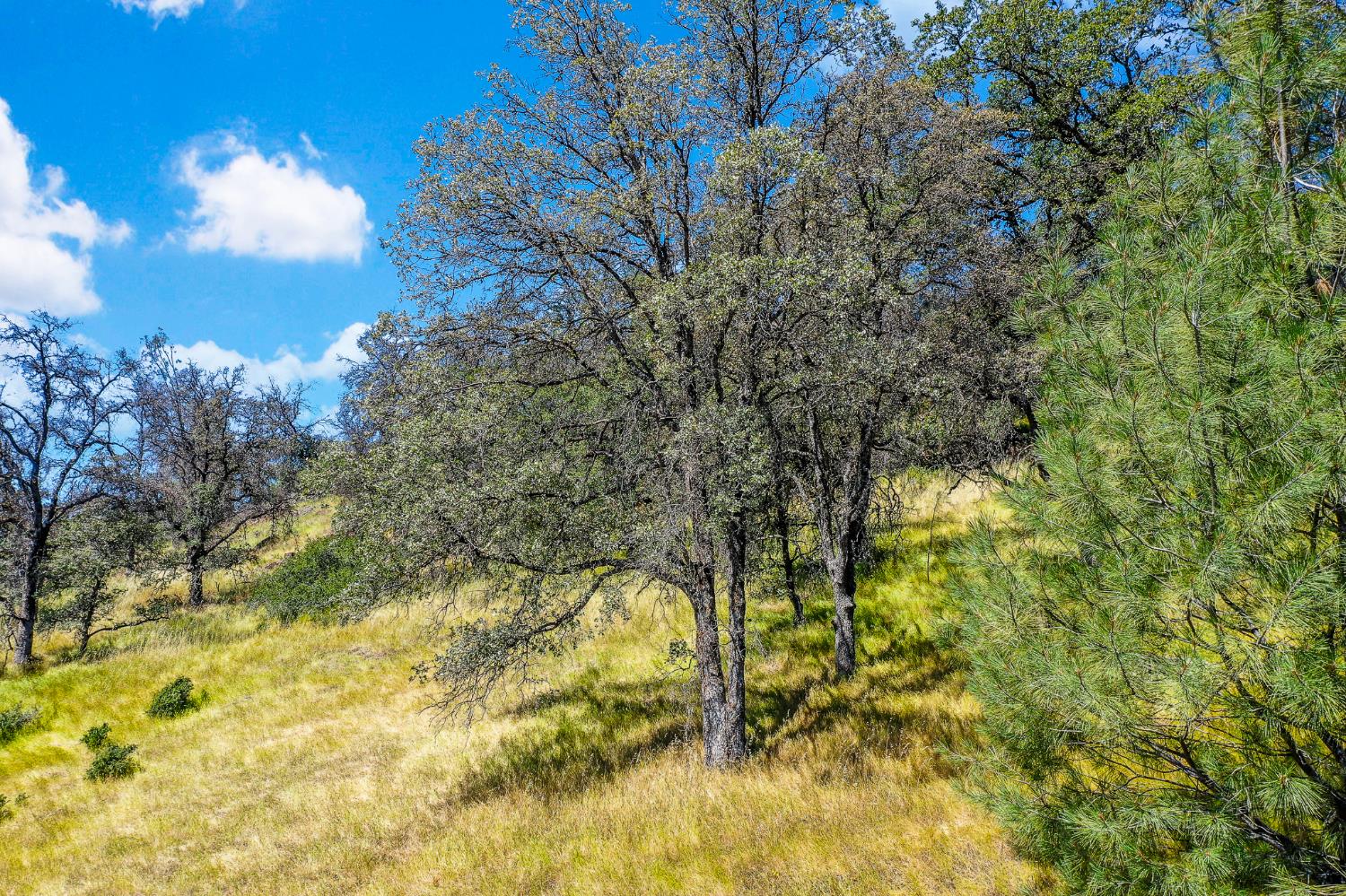 29 Township Road Browns Valley, CA 95918 - Photo 41 of 62 Gallery Image 41