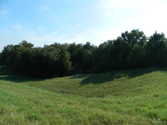 7075 Jones Road Bryan, TX 77807 - Photo 5 of 36 a view of outdoor space with green field and trees