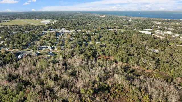 an aerial view of forest