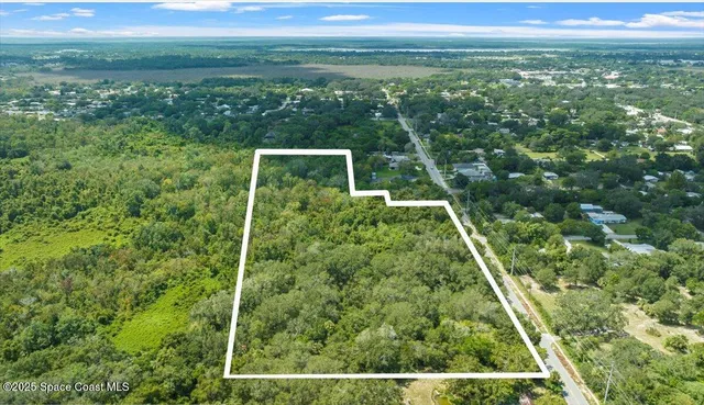 a view of a backyard with palm trees