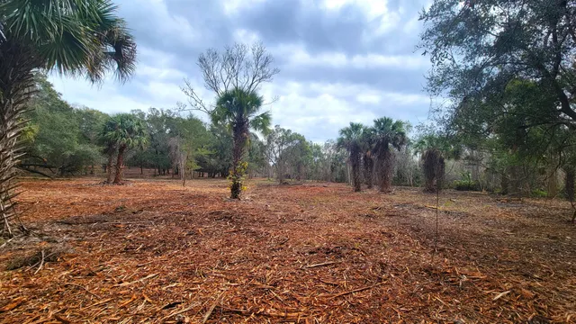 a backyard of a house with lots of green space