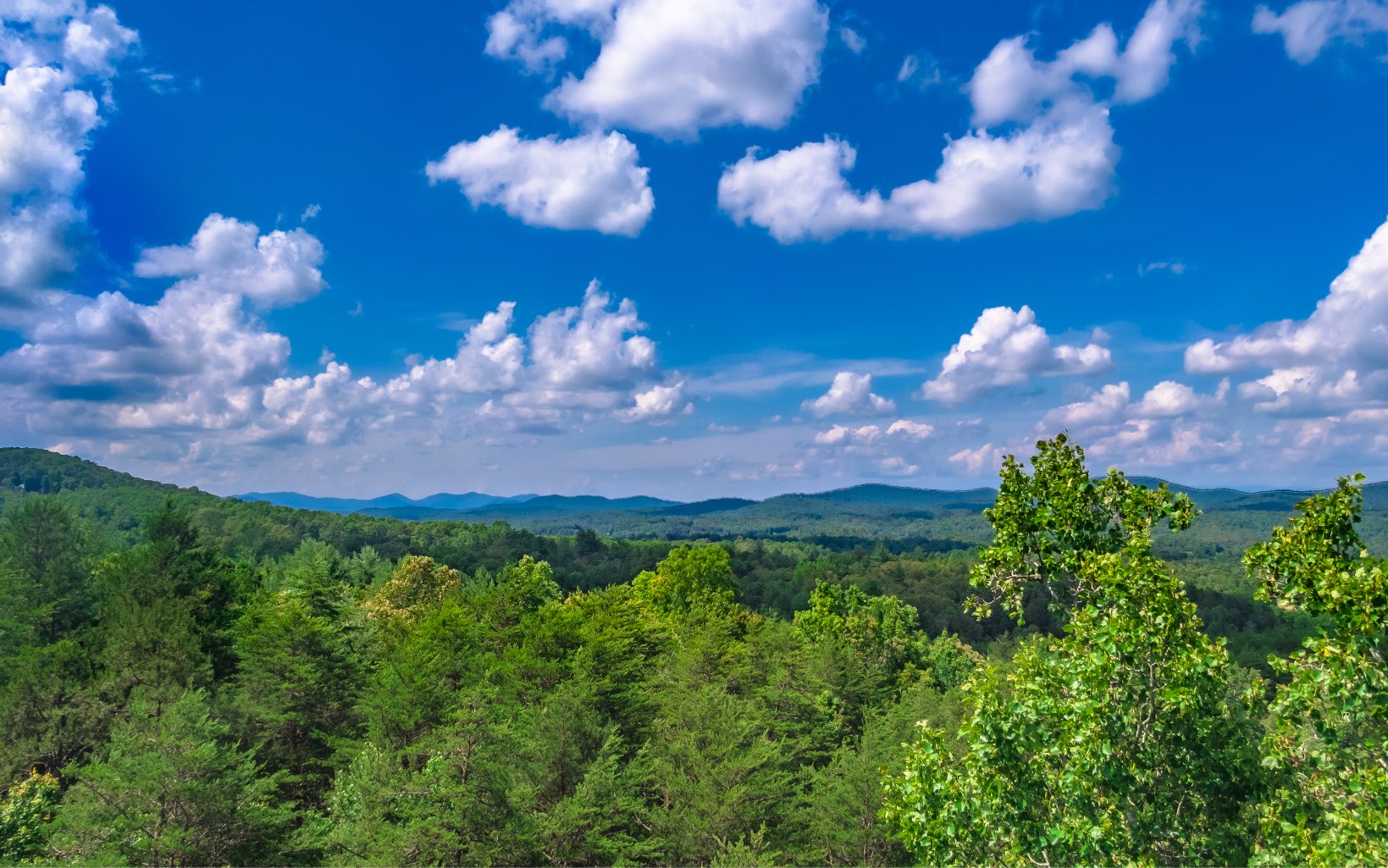 5-ac Gordon Thomas Road Morganton, GA 30560 - Photo 1 of 4 Main View