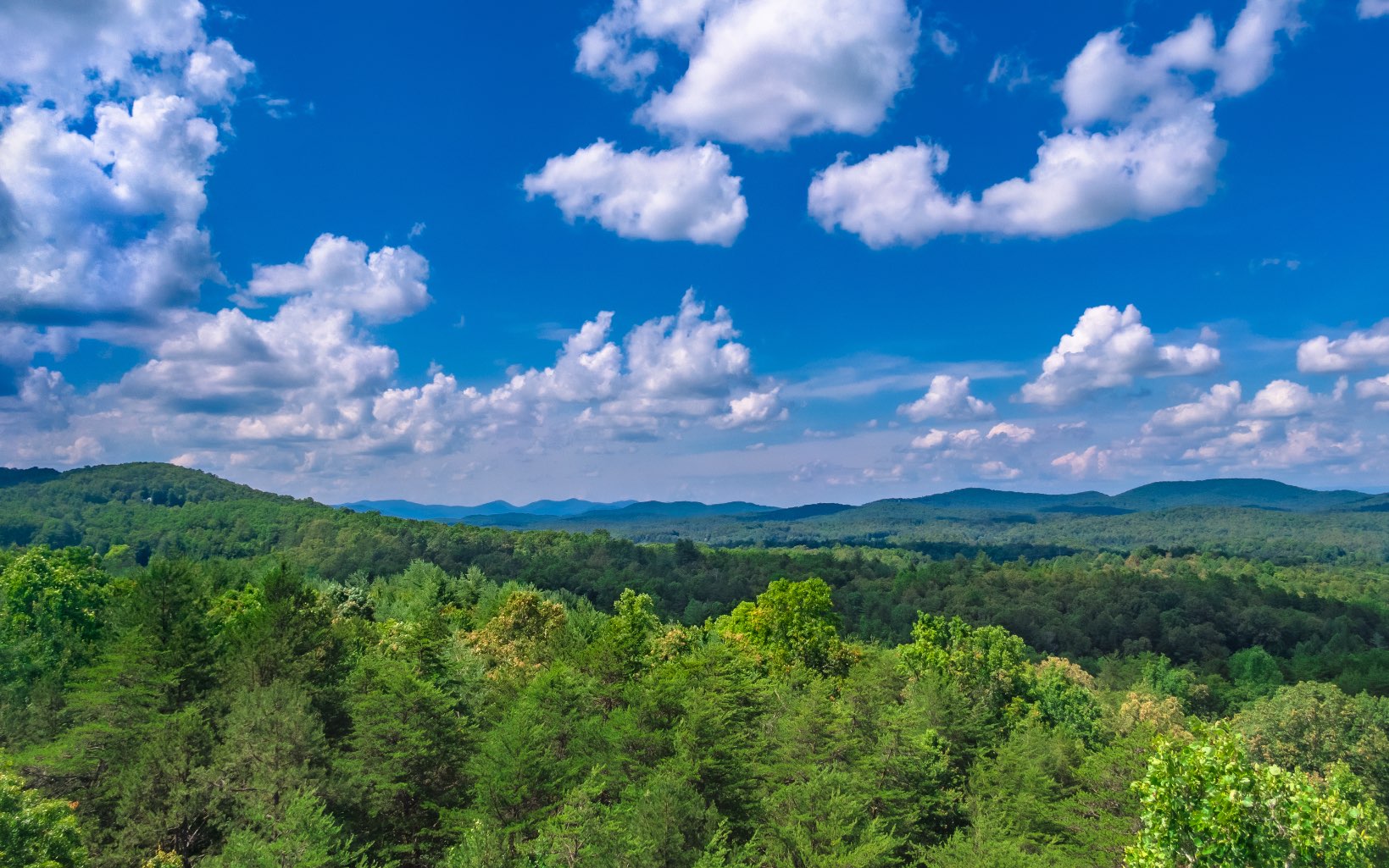 5-ac Gordon Thomas Road Morganton, GA 30560 - Photo 2 of 4 Additional View