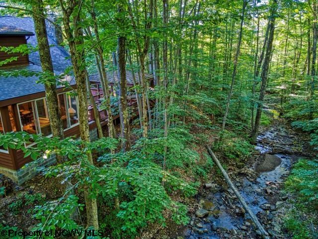 33 Brookside Road Davis, WV 26260 - Photo 3 of 20 Gallery Image 3