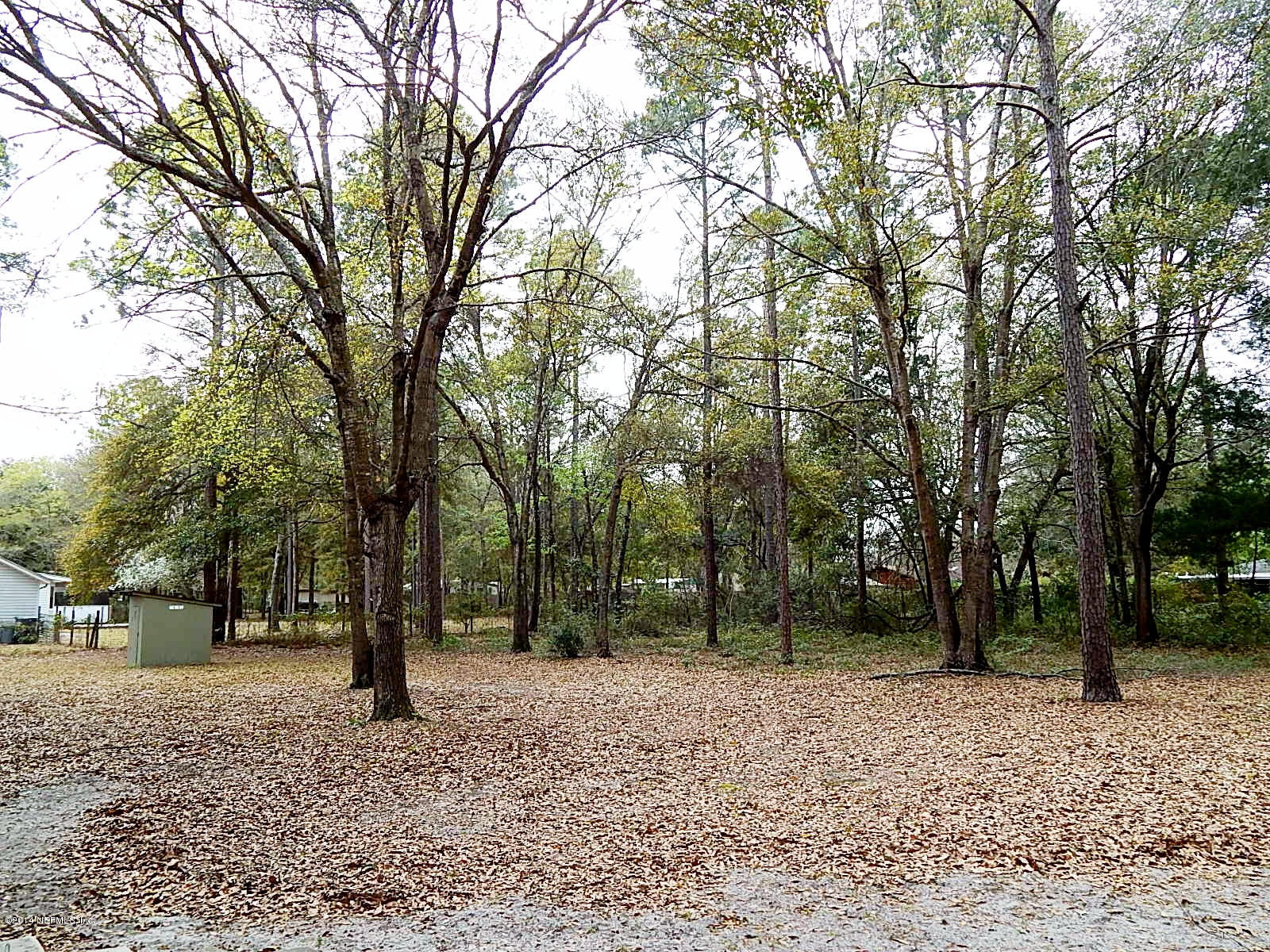 85163 Miner Road Yulee, FL 32097 - Photo 41 of 43 Another View of the Spacious Back Yard