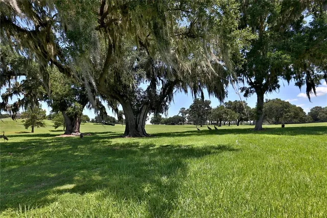 an aerial view of a house with swimming pool and large trees