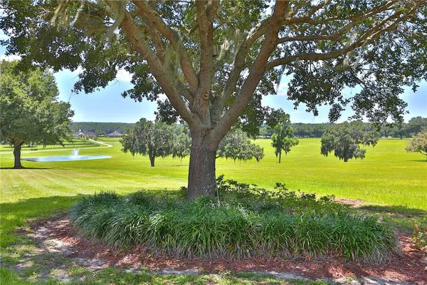 an aerial view of a house with a yard and lake view