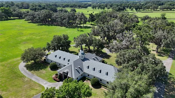 a view of swimming pool and trees in the background