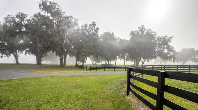 a view of a swimming pool and lounge chairs