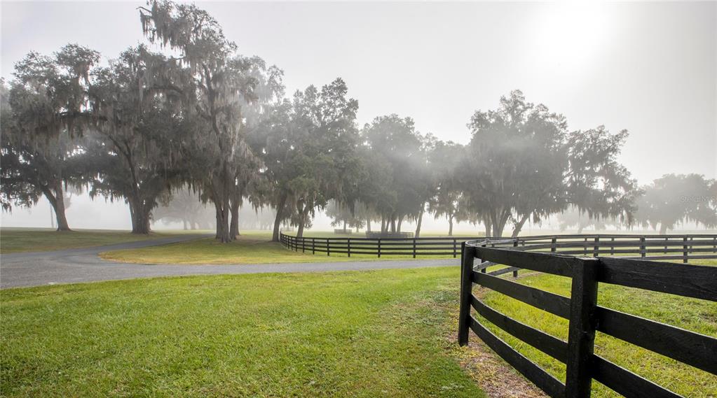 6800 Northwest 193rd Street Reddick, FL 32686 - Photo 38 of 65 a view of swimming pool and trees in the background