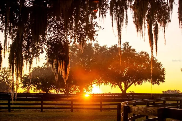a aerial view of a house with big yard
