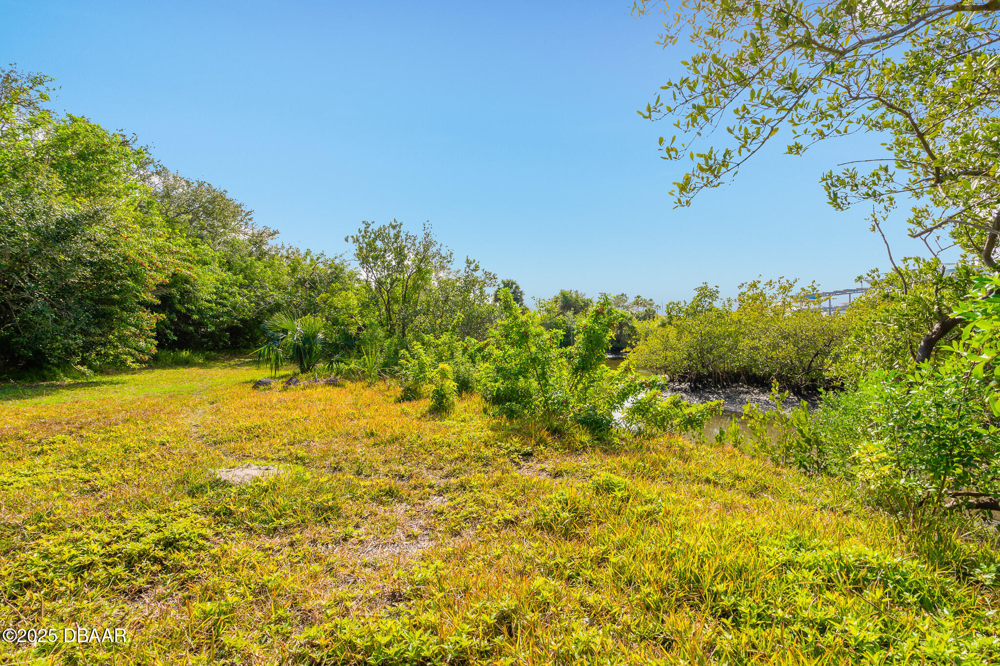 4770 South Peninsula Drive Ponce Inlet, FL 32127 - Photo 12 of 14 12