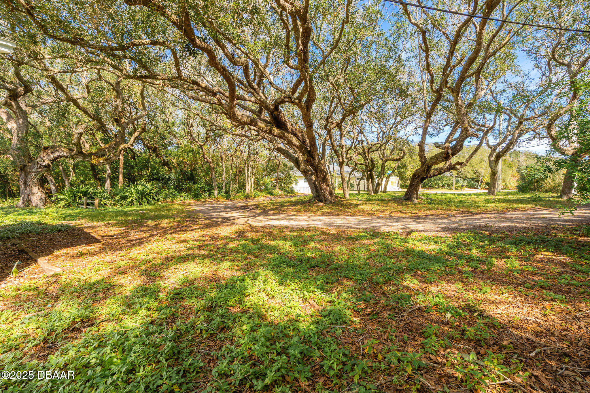 4770 South Peninsula Drive Ponce Inlet, FL 32127 - Photo 3 of 14 04