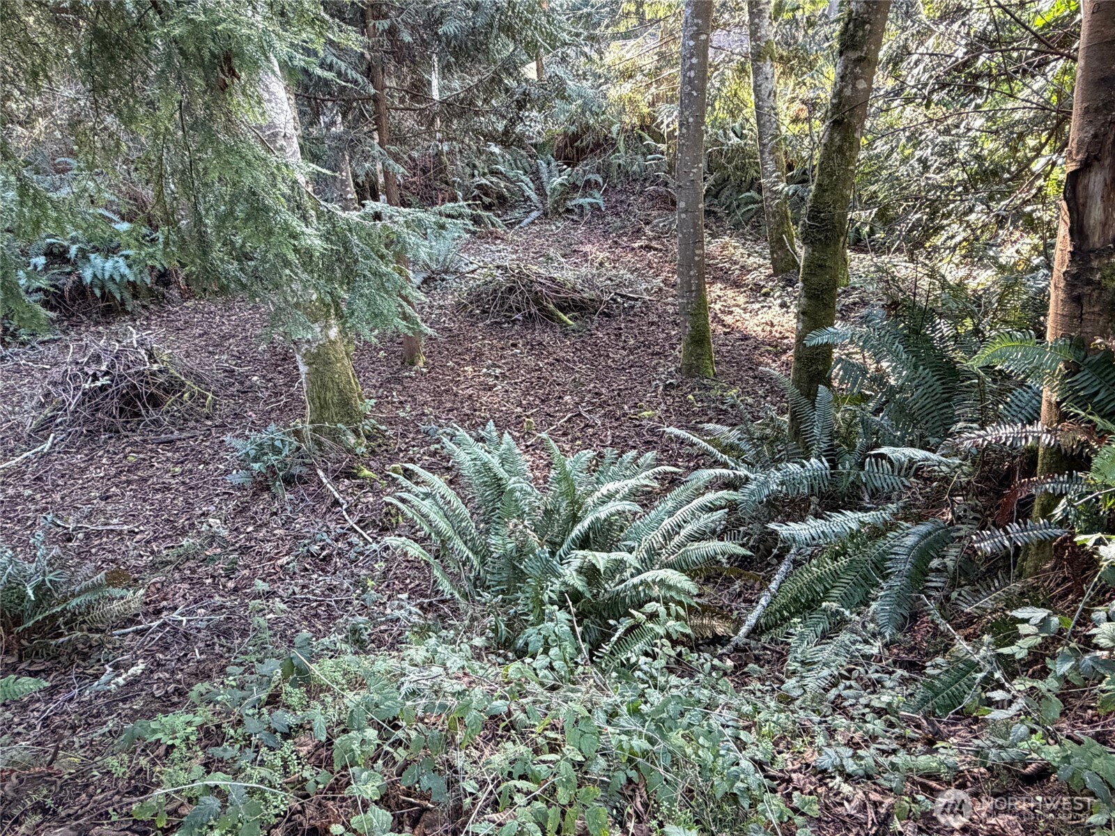 4843 Northeast Twin Spits Road Hansville, WA 98340 - Photo 12 of 20 a view of a yard